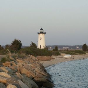 Meet your Posher, Lily